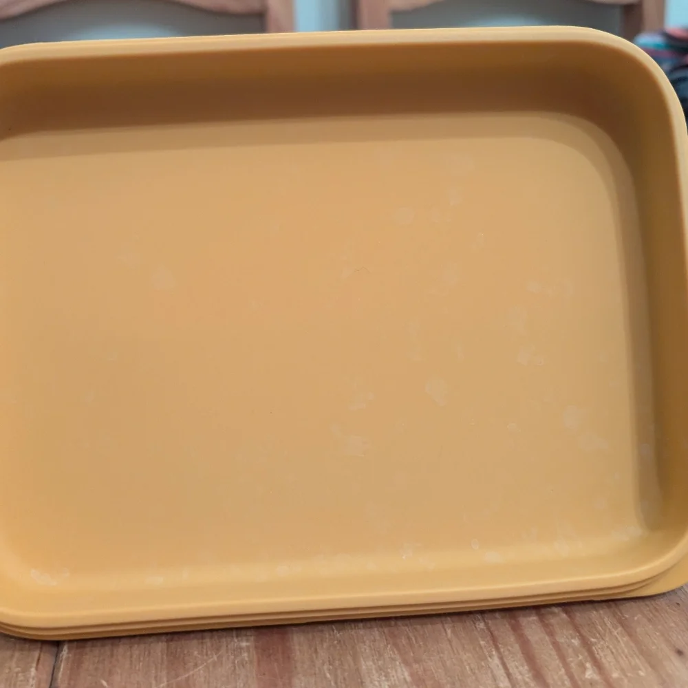 Ollie Dog Food Storage Container With Lid